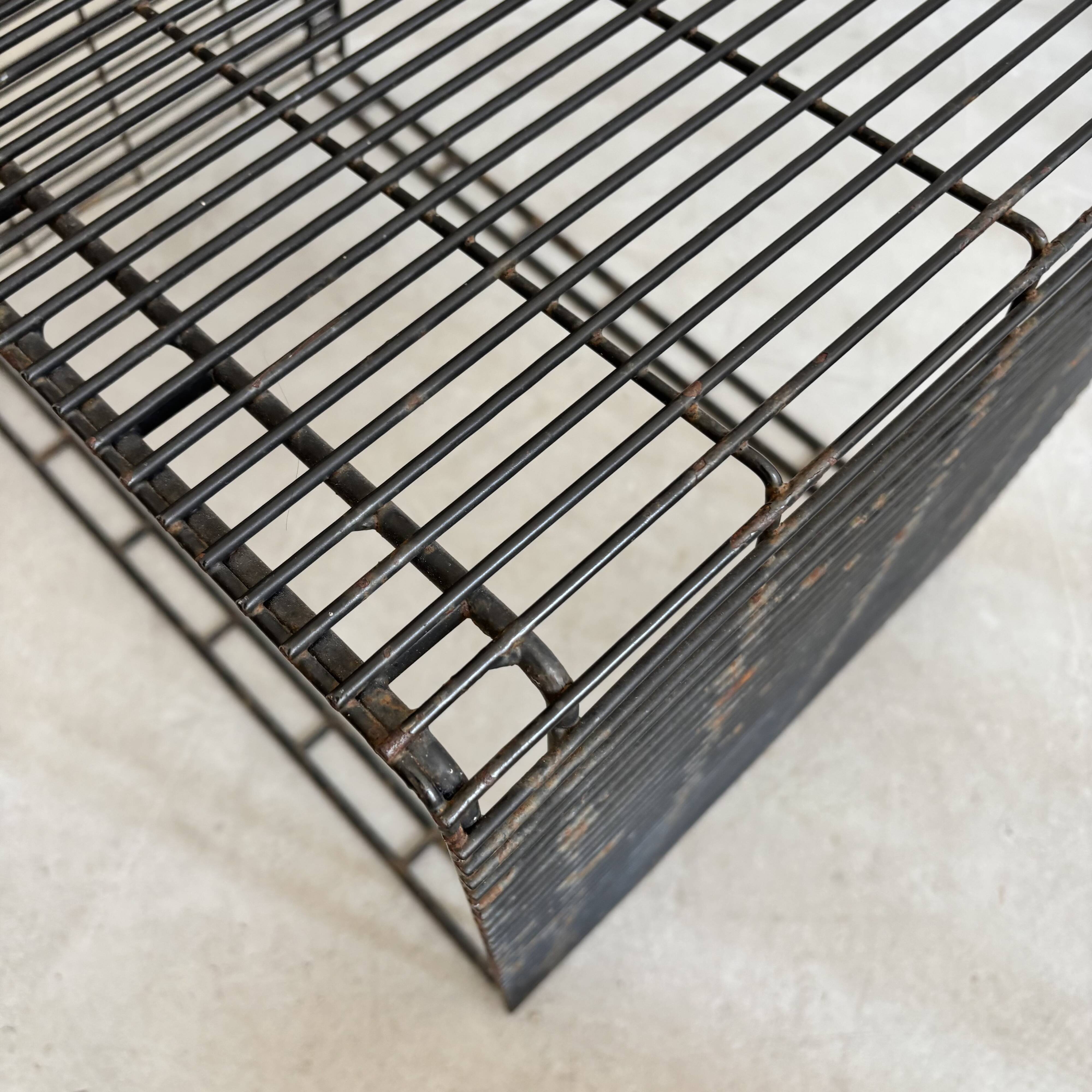 Graphic metal armchair