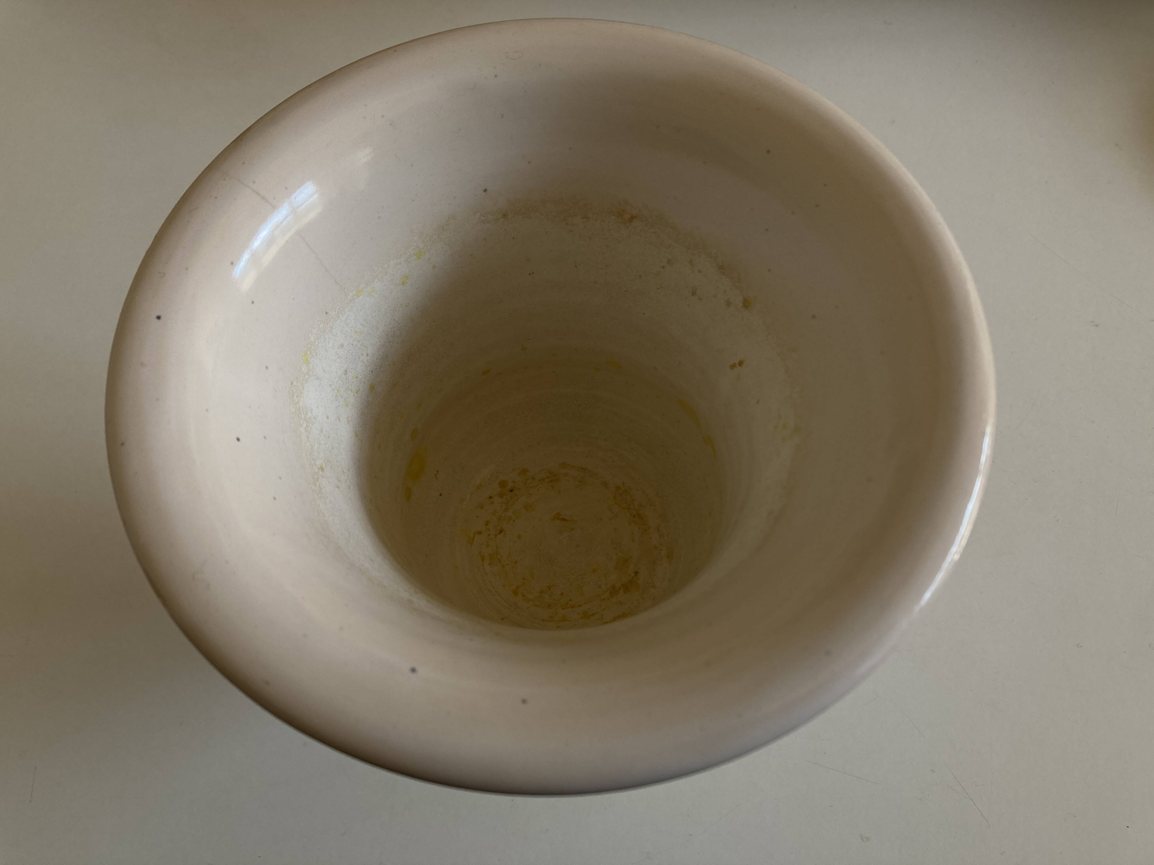 Medicis Jean Roger vase in white earth