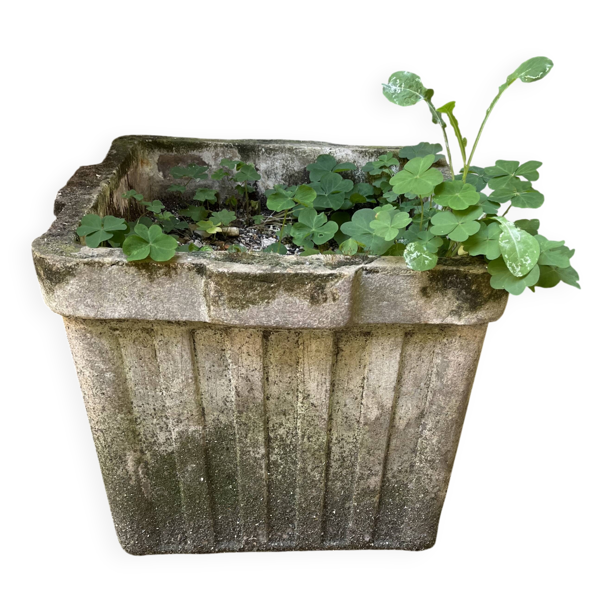 Square planter in concrete/cast cement