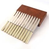 Série de 12 couteaux bakélite