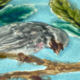 Sarreguemines majolica plates