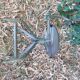 Nicolle Chair