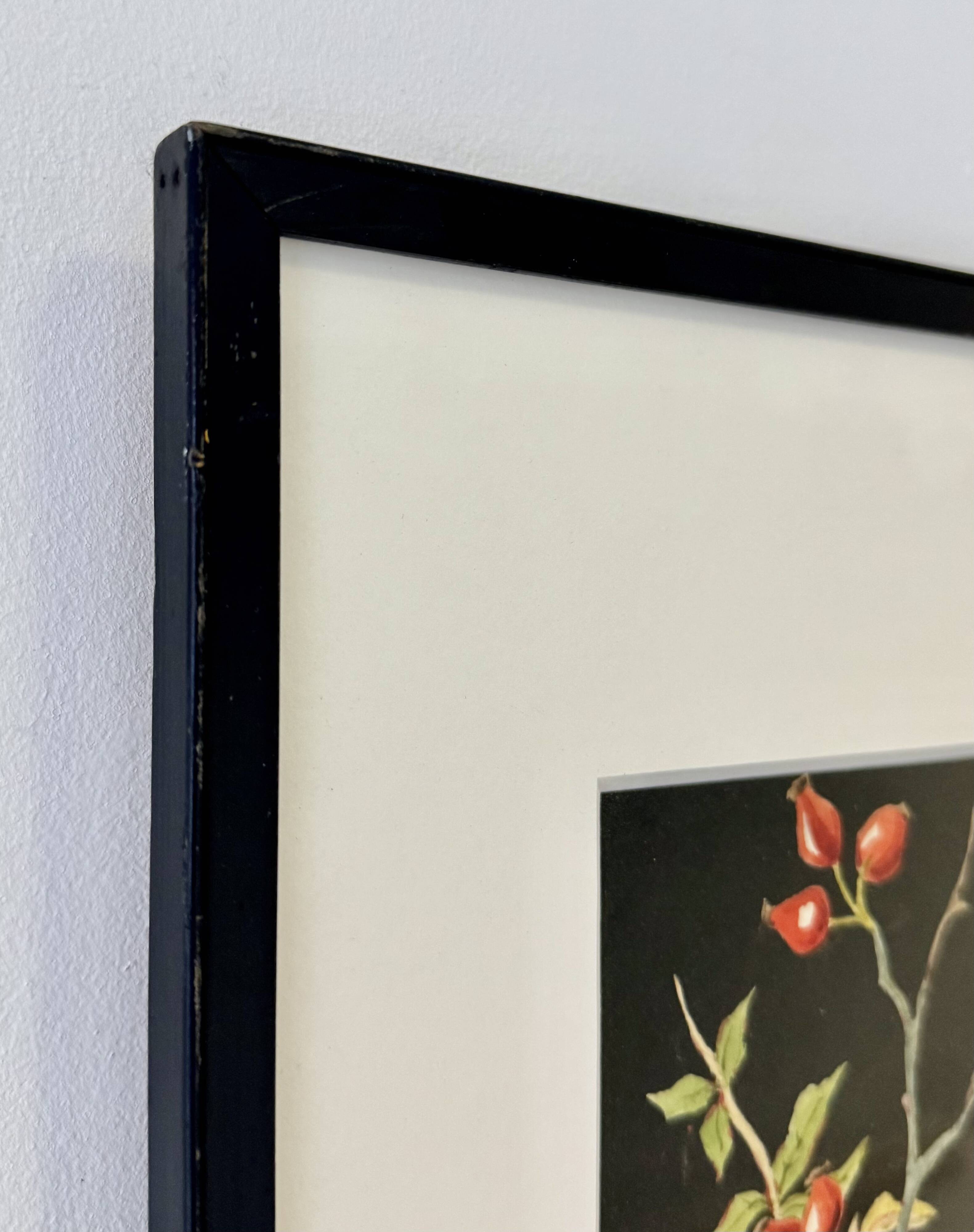 Early 20th Century Still Life Painting with Black Frame