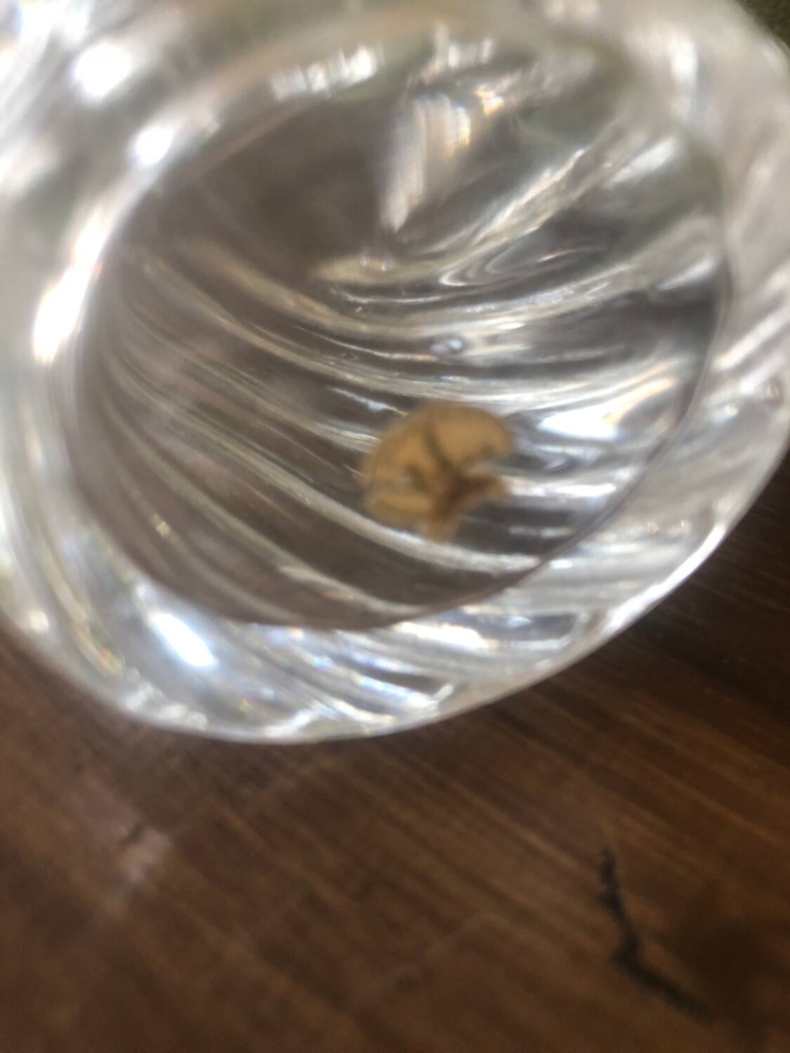 Baccarat Crystal Pair of Antique Bamboo Model Bottles, 19th Century