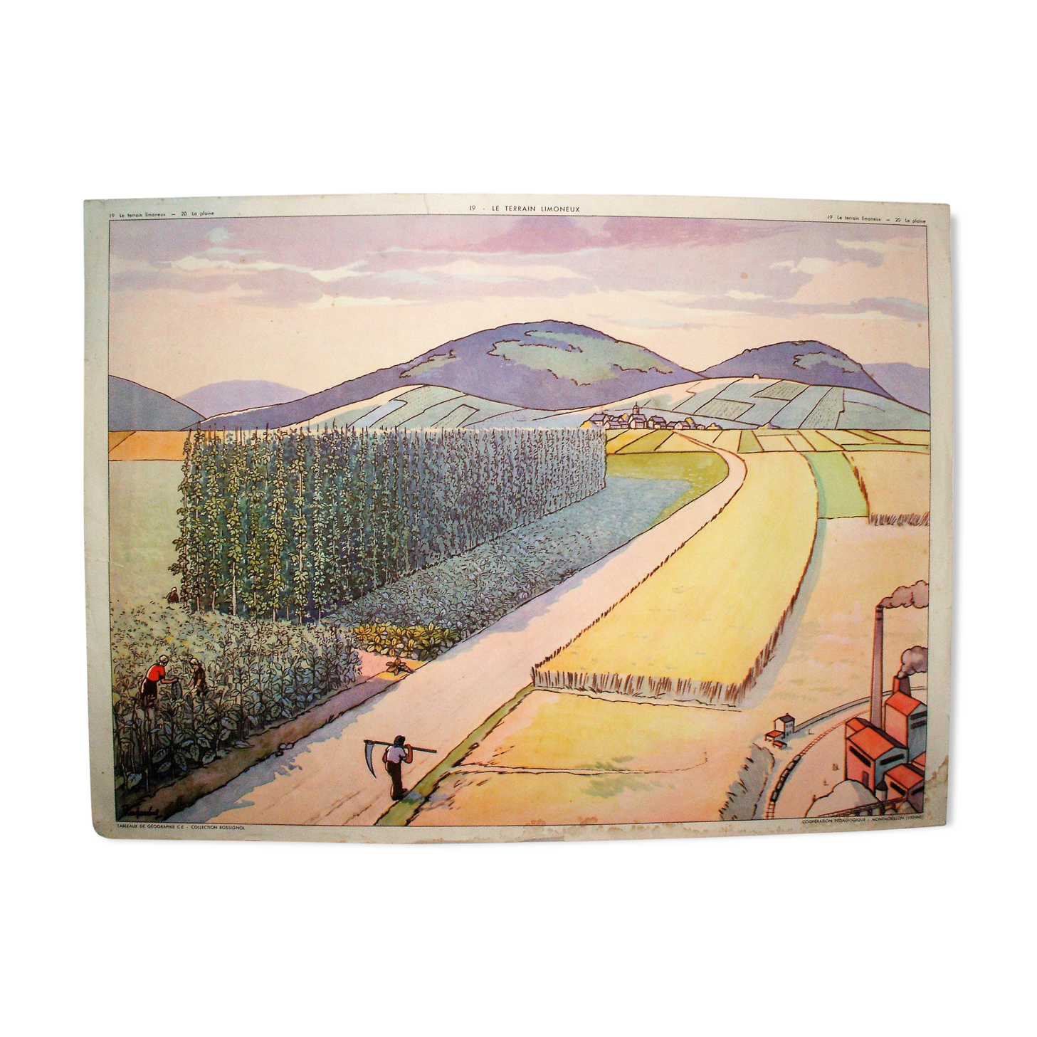 The silty ground plain school poster