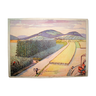 The silty ground plain school poster