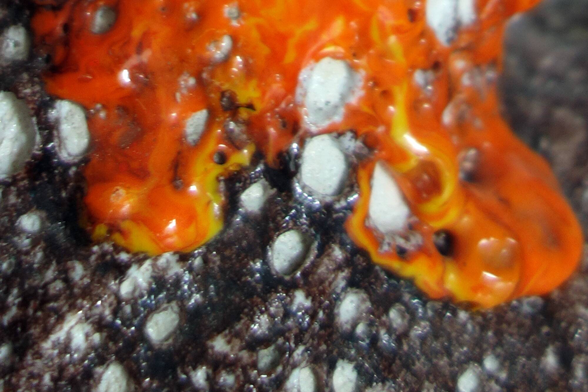 Pair of Fat Lava Vallauris vases from the 1950s