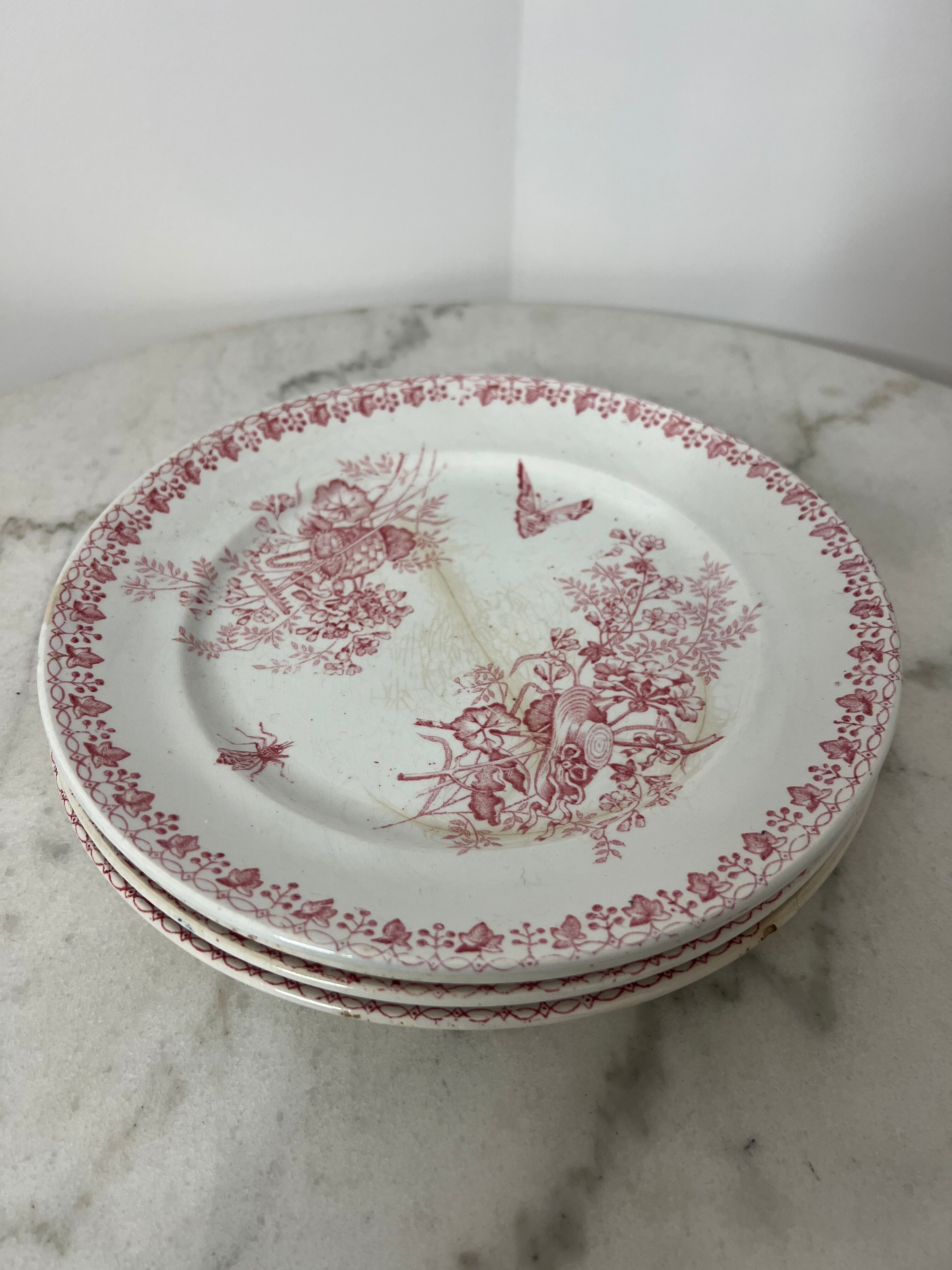 Lot 4 flat plates Terre de Fer (state of use)