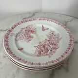 Lot 4 flat plates Terre de Fer (state of use)