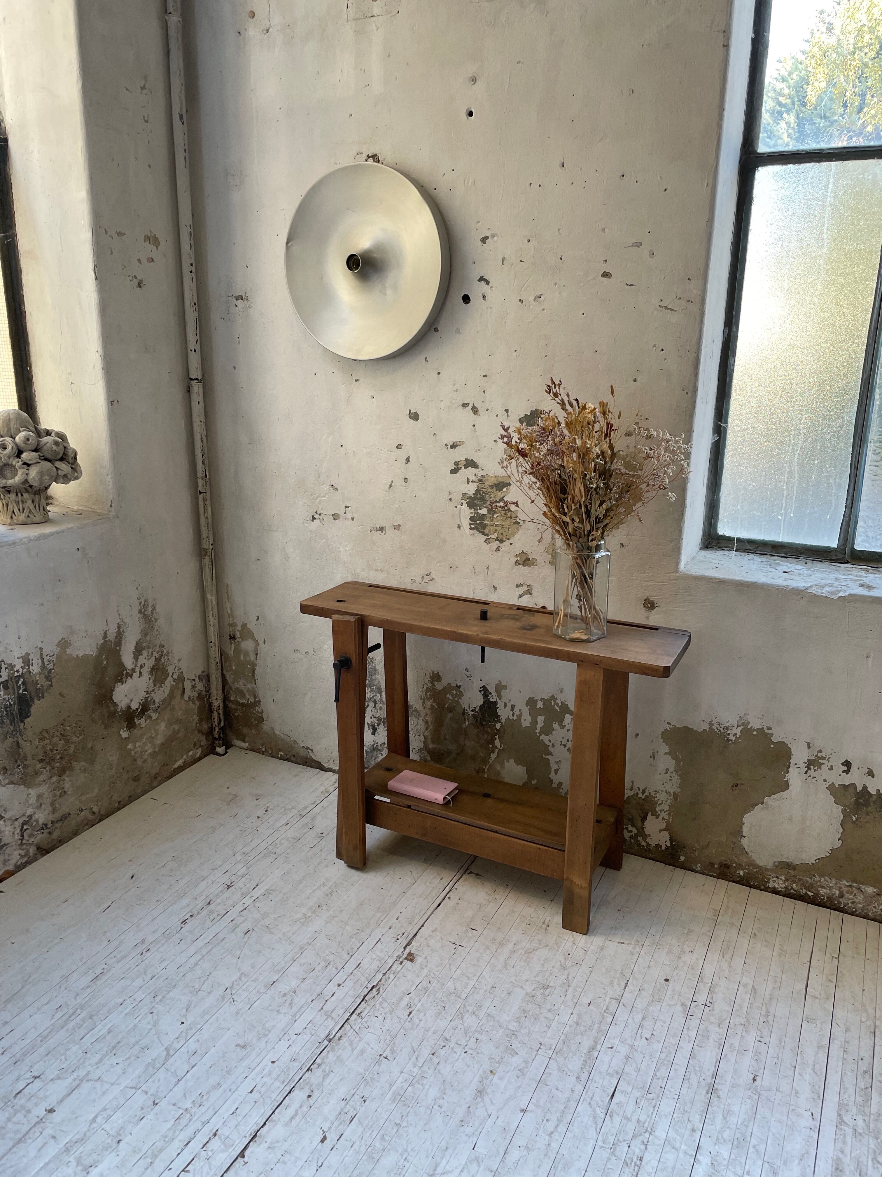 Established XS in cherry tree