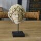 Sculpture of a head in reconstituted stone carved in the antique style of the 19th century