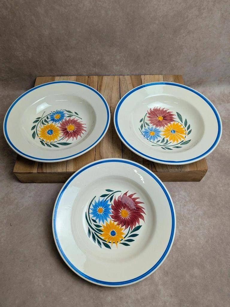 Set of 6 ironstone plates HBC – Rustic Model – Hand-painted floral design