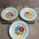 Set of 6 ironstone plates HBC – Rustic Model – Hand-painted floral design