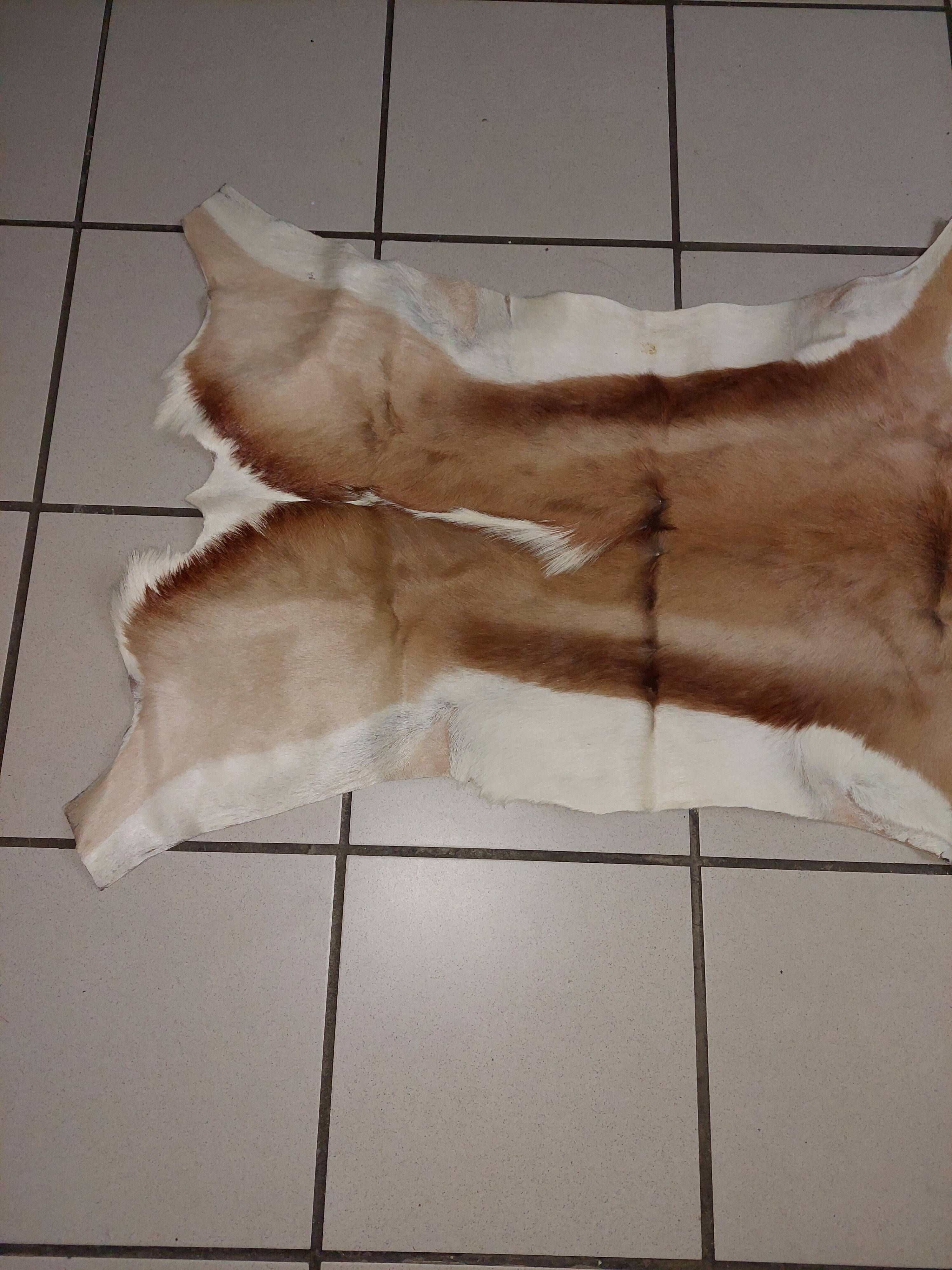 Used natural African animal skin rug (70x100cm)