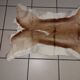 Used natural African animal skin rug (70x100cm)