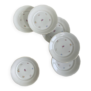 6 assiettes plates porcelaine - fleurs