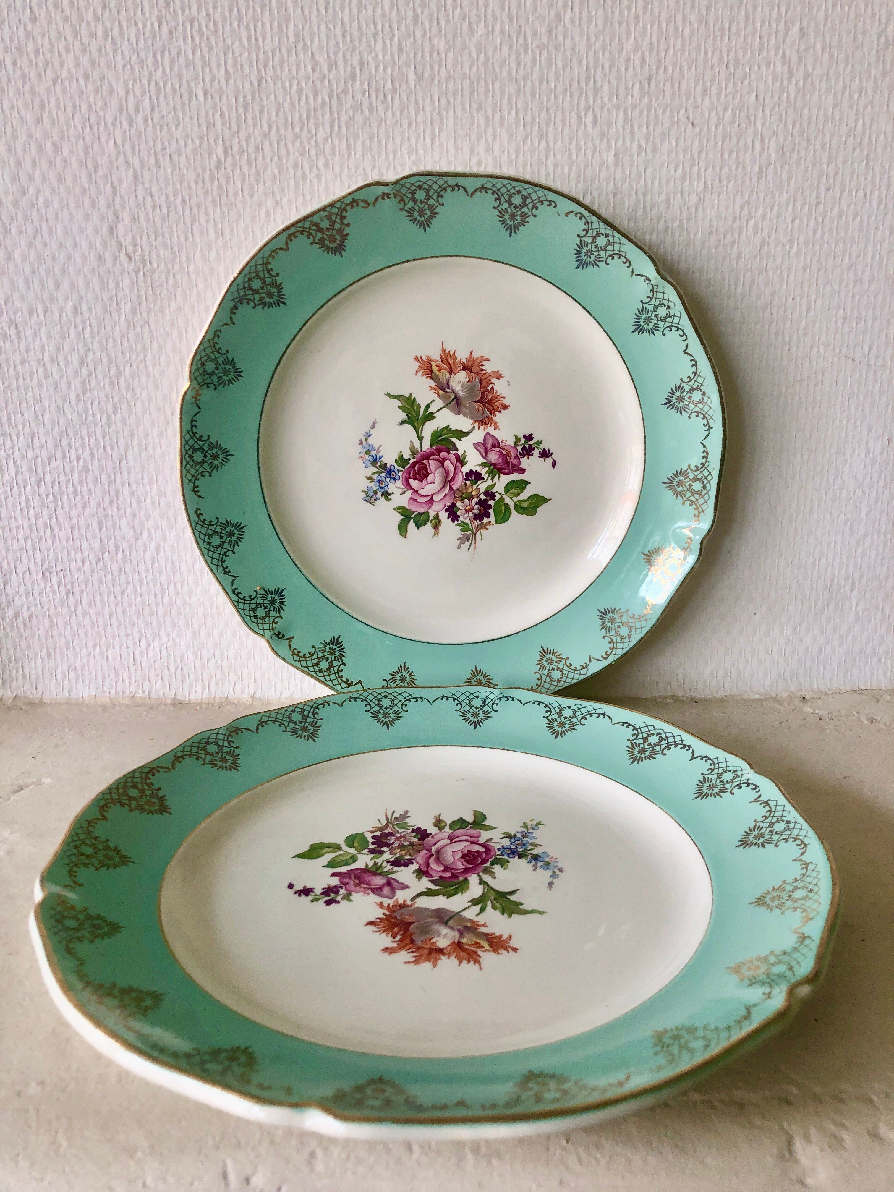 Lot flat plates Ceranord St Amand-La Roseraie
