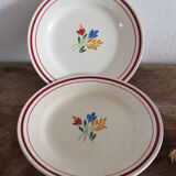 Jeannette flat plates