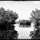 Paysage Everglades, Floride USA, Photographie Fine art