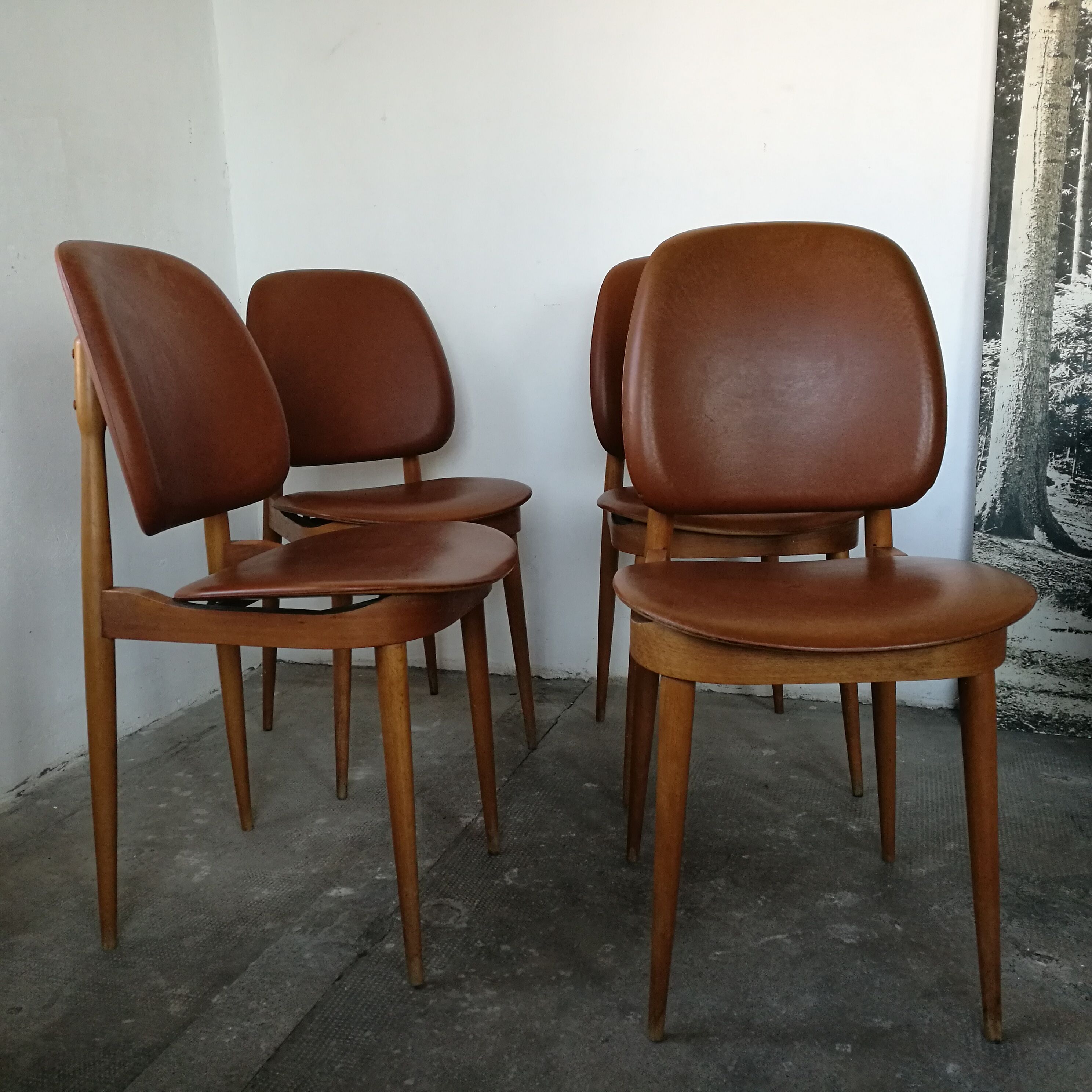 Set of 4 Baumann chairs, Pegasus model