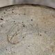 Large decorative plate in glazed stoneware, signed.