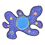 Handmade mosaic mirror 48x70cm