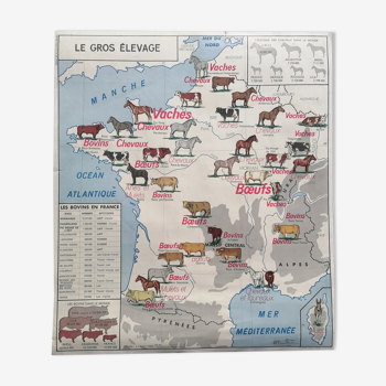 Ancienne affiche scolaire MDI : France, le gros élevage et Rhône.