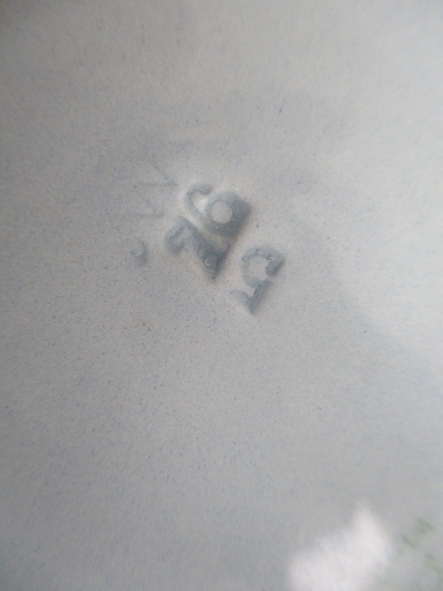 Plat Villeroy and Boch old blue earthenware