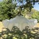 Vintage lampshade lace pleated transparent glass claw