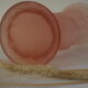 Art Deco vase, rose, hand-painted, frosted glass.