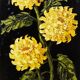 Set of five vintage flower still life paintings.