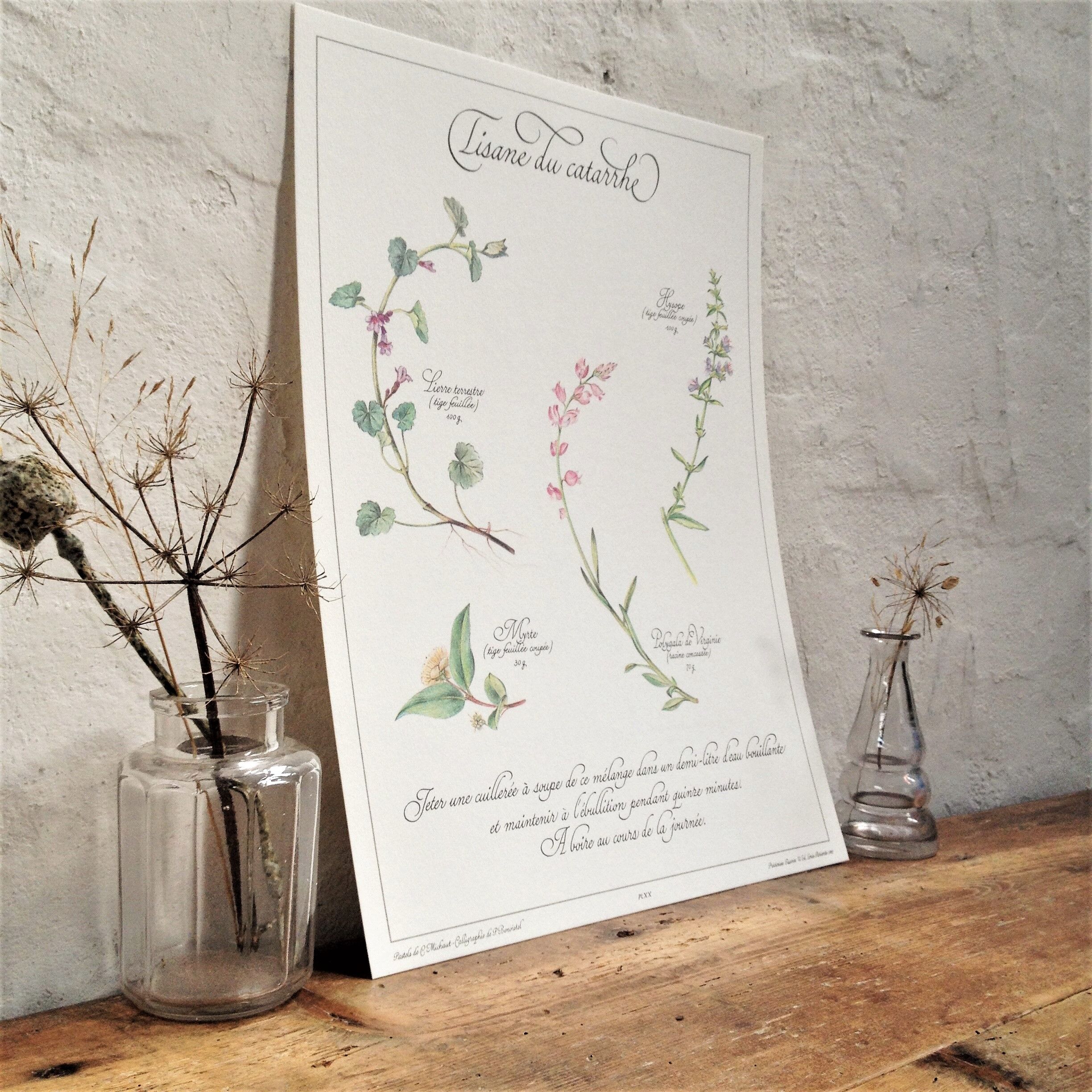 Botanical poster is a tisane
