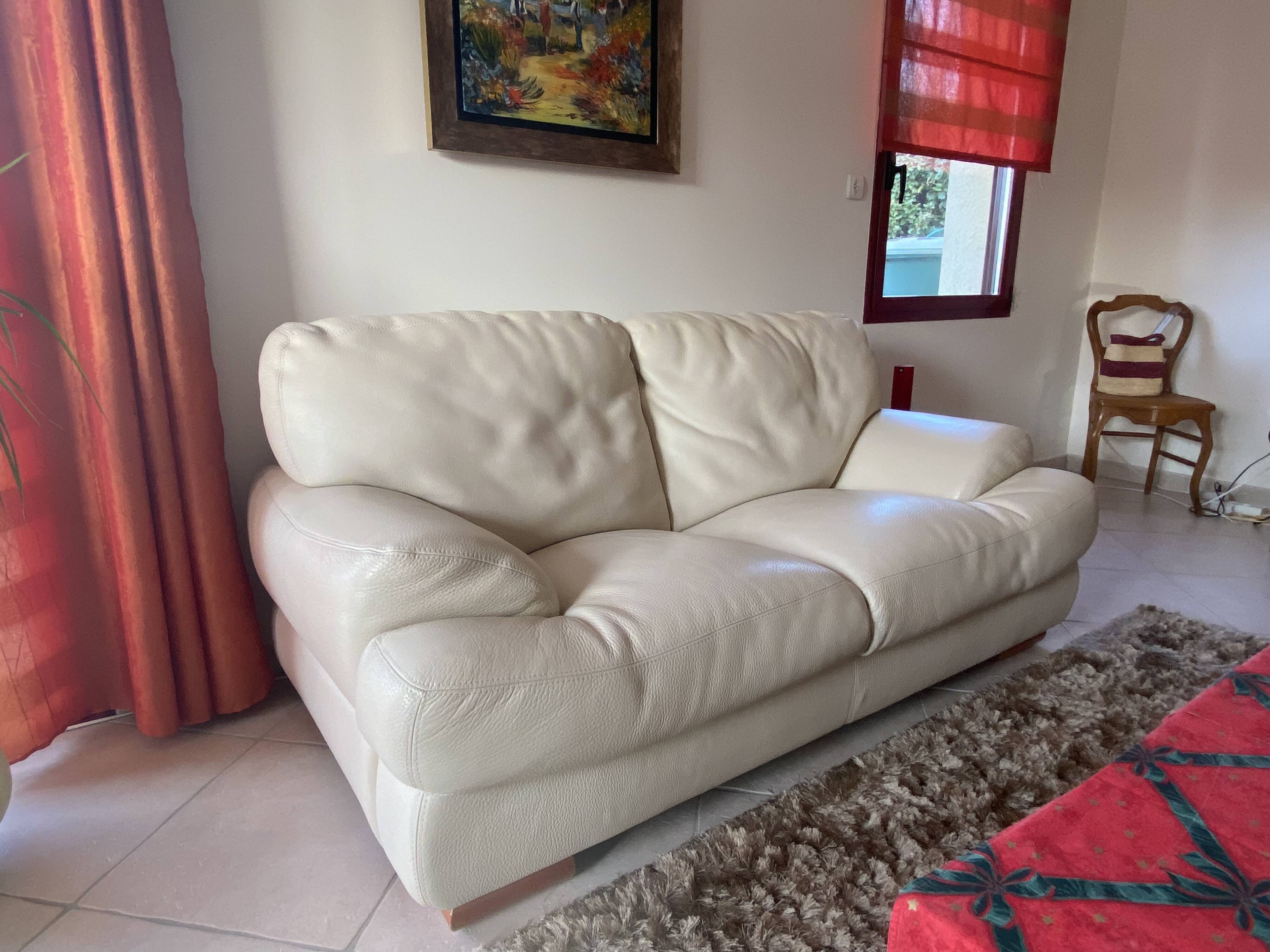 Roche bobois 2-seat sofa