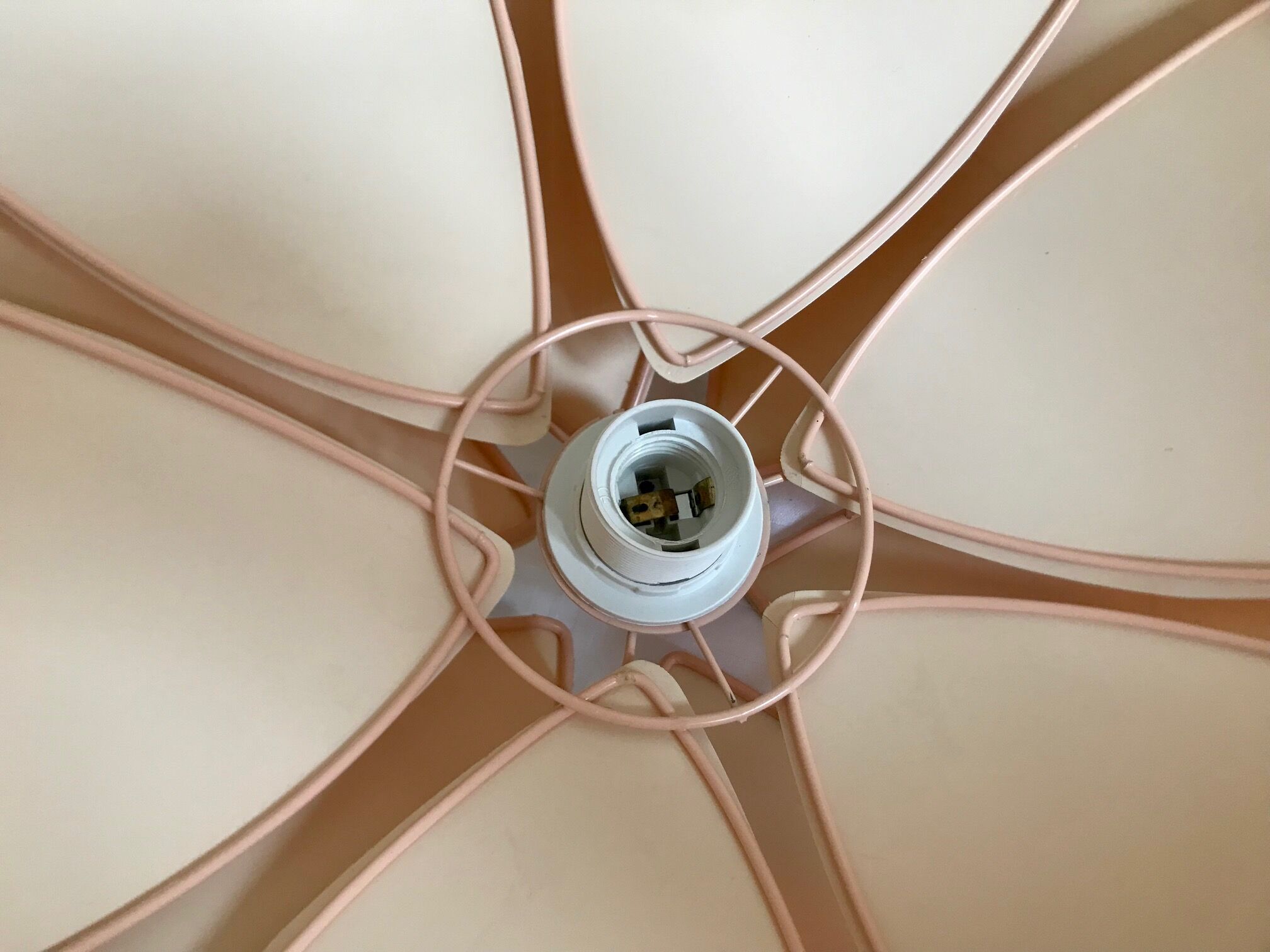 Suspension lotus flower petals