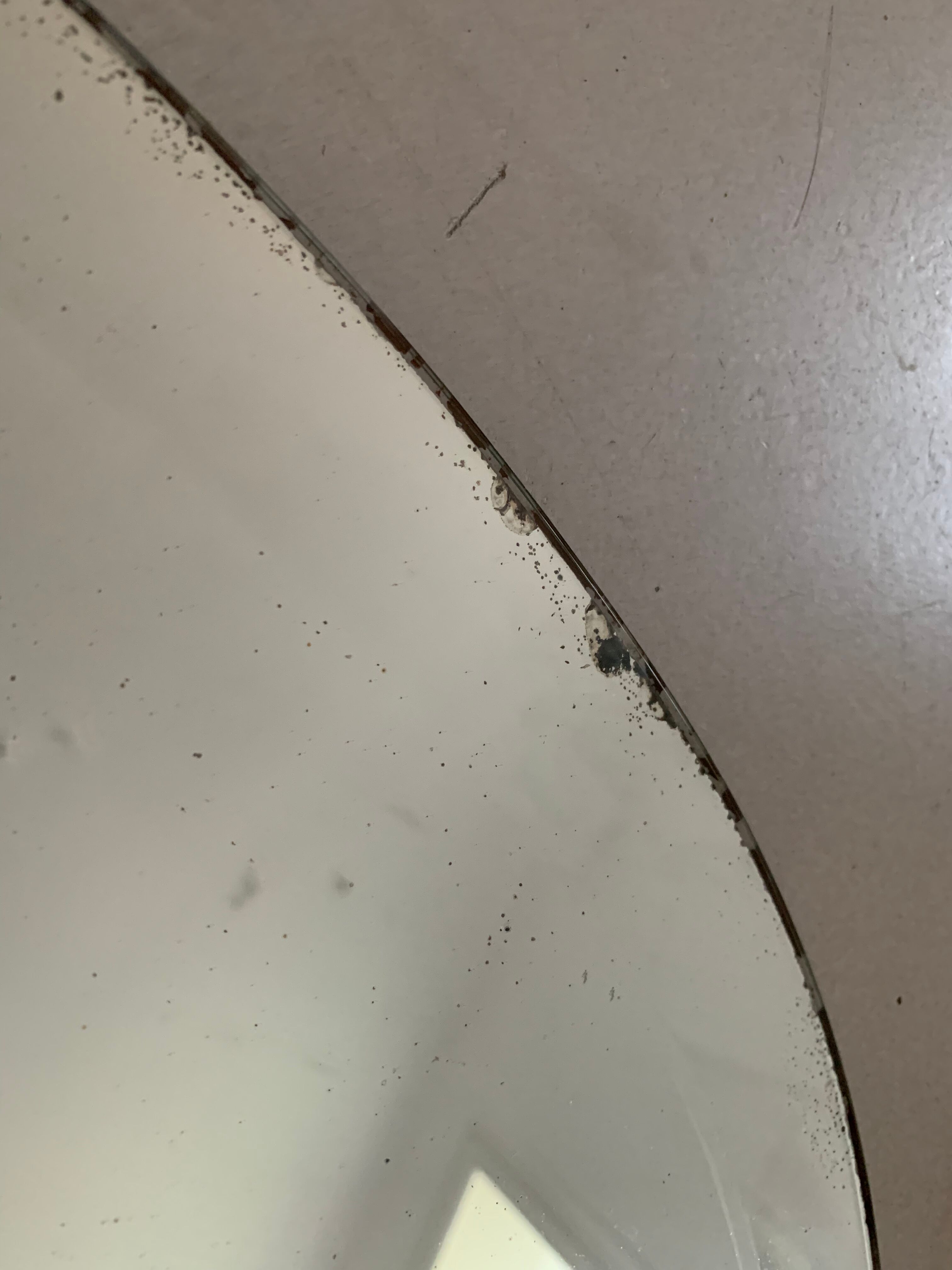 Old bevelled stitched oval mirror