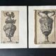 Gravure ancienne vase ornée d’après Polydoro da Caravaggio
