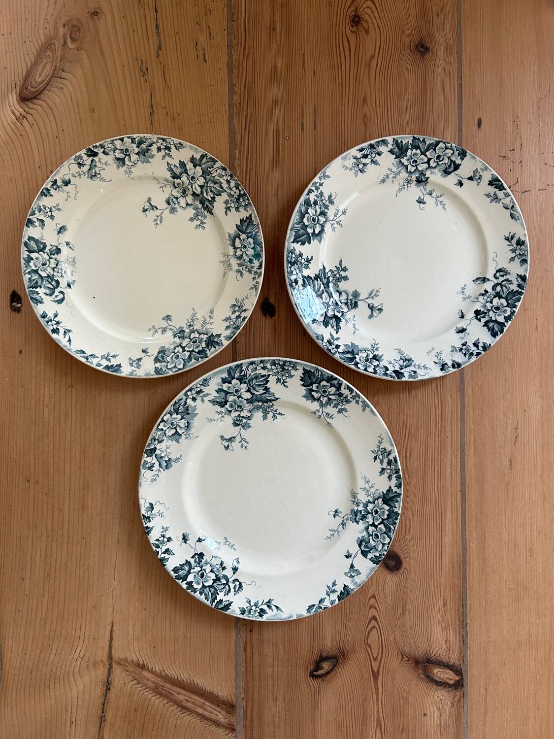 Series of 3 old flat plates “Terre de Fer”