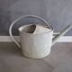 Old zinc watering can