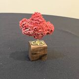 Corail rouge naturel ancien sur socle en bois d' ébène cabinet de curiosités