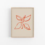 Botanical illustration giclee print, 50x70