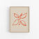 Botanical illustration giclee print, 50x70