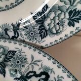 Vintage Wedgwood Bullfinch Plates