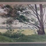 Watercolor "leaning tree"