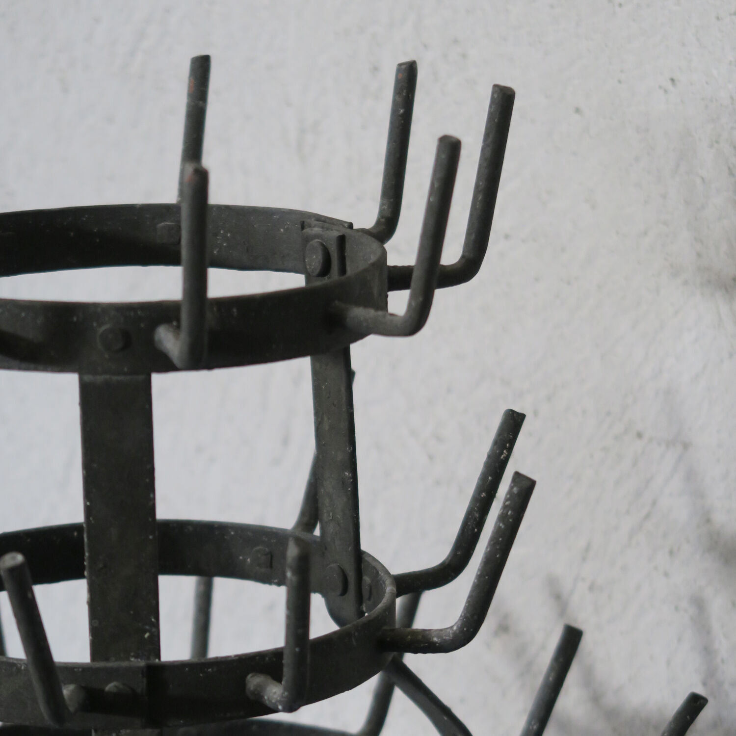 Dry bottle says hedgehog