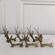 6 portes couteaux antilopes