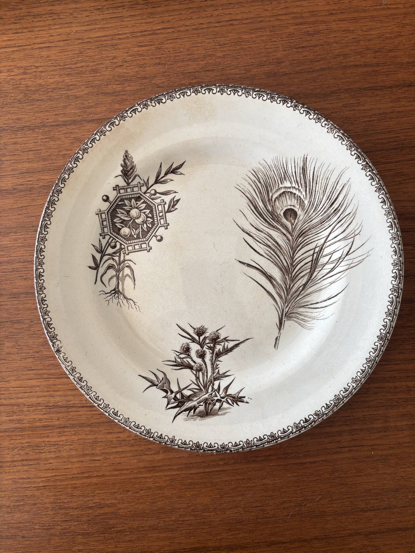 6 ironstone sepia plates | Grand Depot of Porcelains & Earthenware