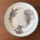 6 ironstone sepia plates | Grand Depot of Porcelains & Earthenware