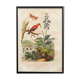 Vintage animal engraving - Buffon 1850