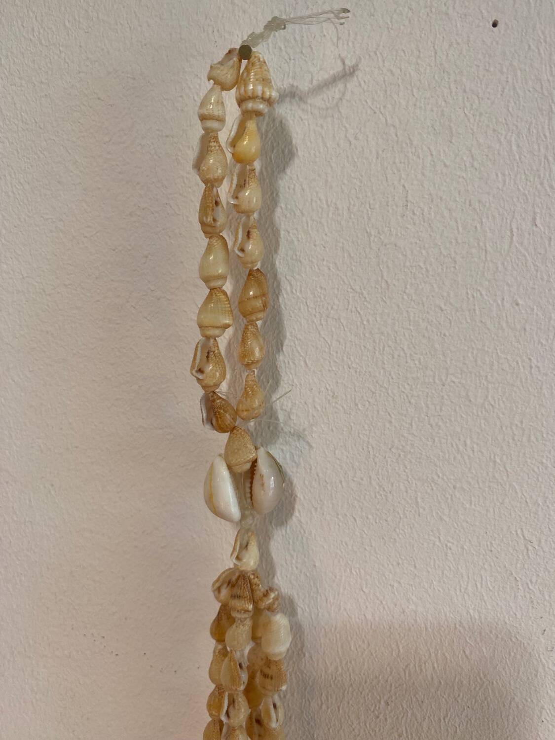 Shell plant holder