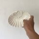 Soap holder or vintage shell pocket